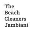 beach-cleaners